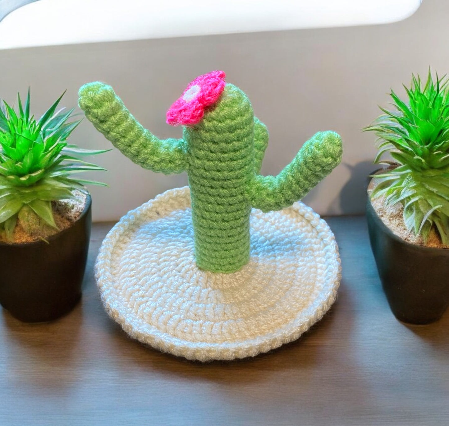 Crocheted Cactus Earring/Jewelry Holder
